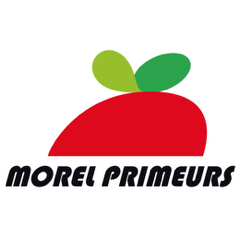 Morel Primeurs